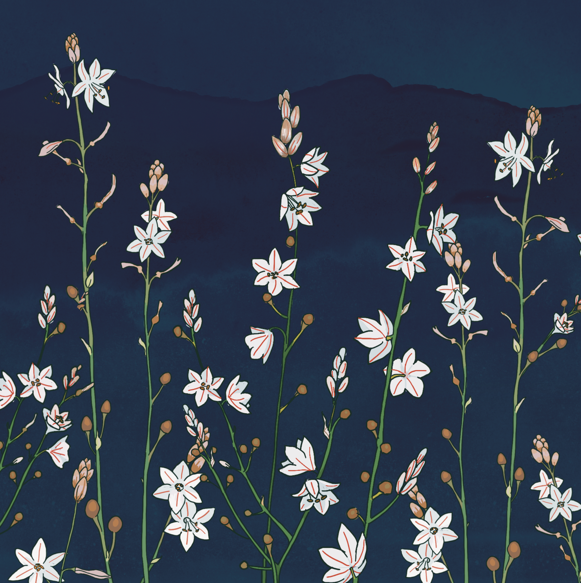 Asphodel