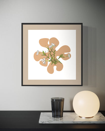 Desert Campion - Art Print