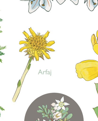 Plants of the Arabian Gulf - Stickers