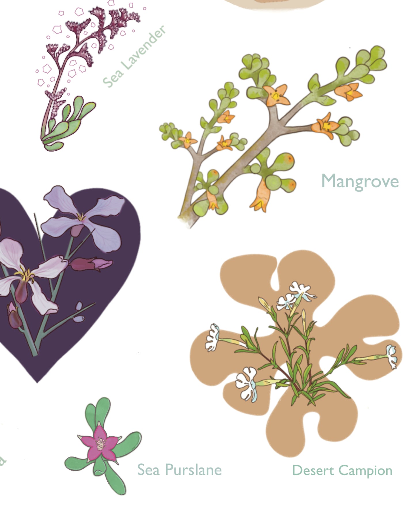 Plants of the Arabian Gulf - Stickers